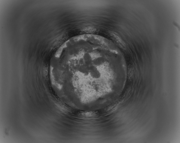 X0000091920365200710031044