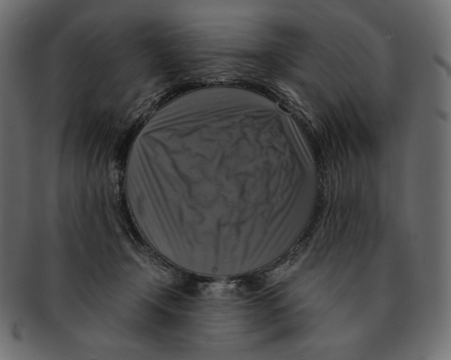 X0000091920366200710031044
