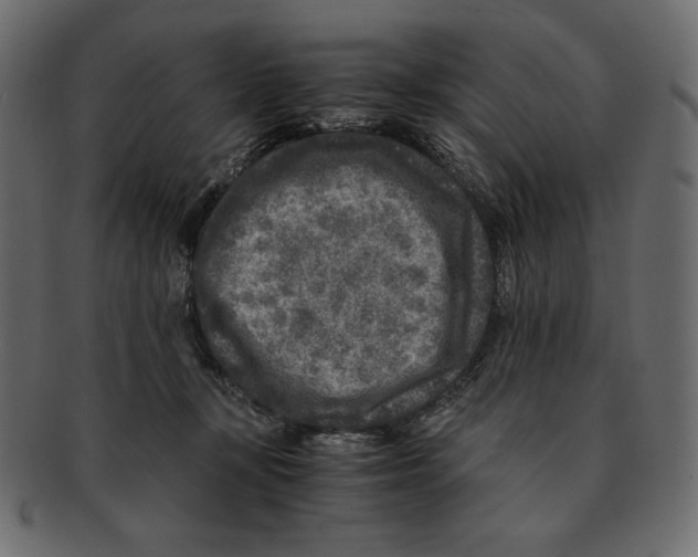 X0000091920367200710031044