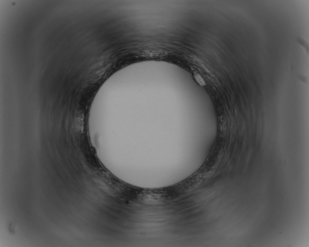 X0000091920368200710031044