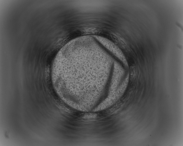 X0000091920369200710031044