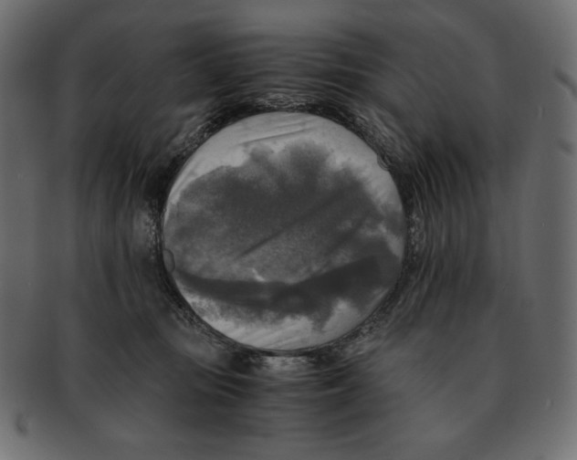 X0000091920371200710031044