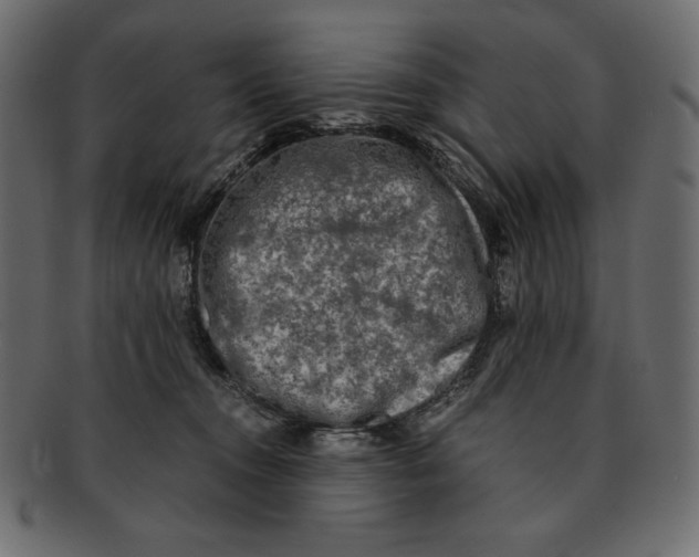 X0000091920372200710031044