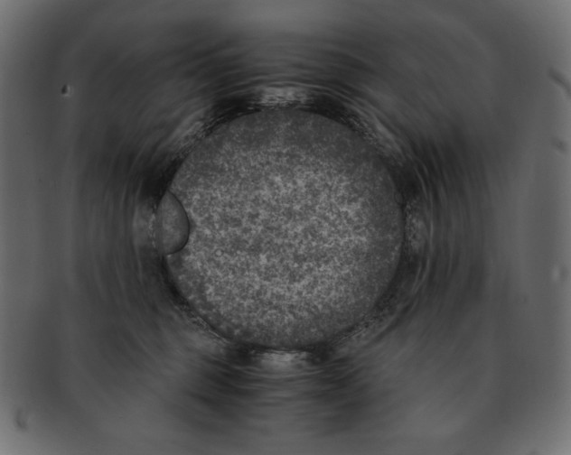 X0000091920375200710031044