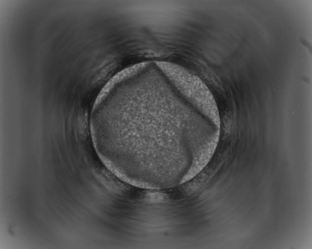 X0000091920376200710031044