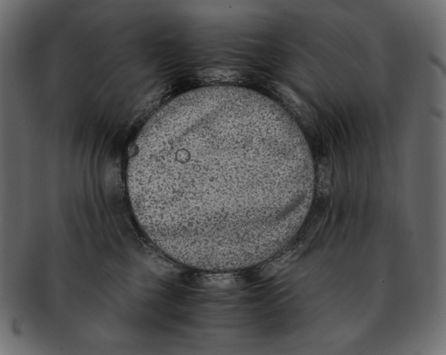 X0000091920377200710031044