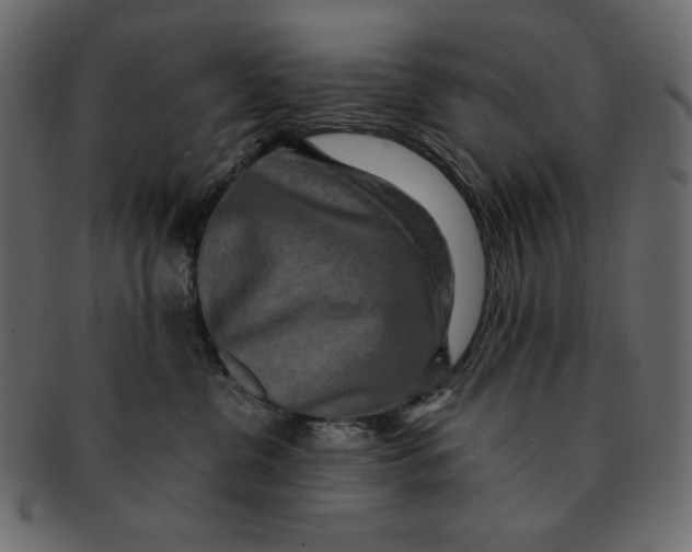 X0000091920380200710031044