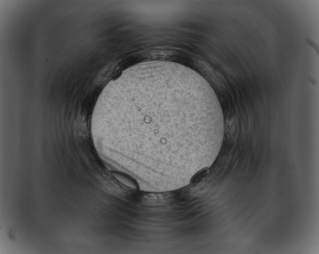 X0000091920381200710031044