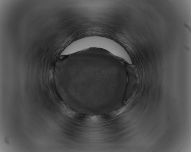 X0000091920382200710031044