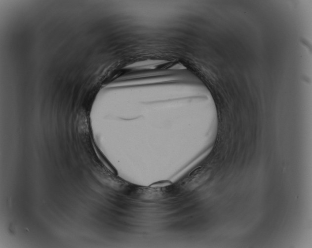 X0000091920384200710031044