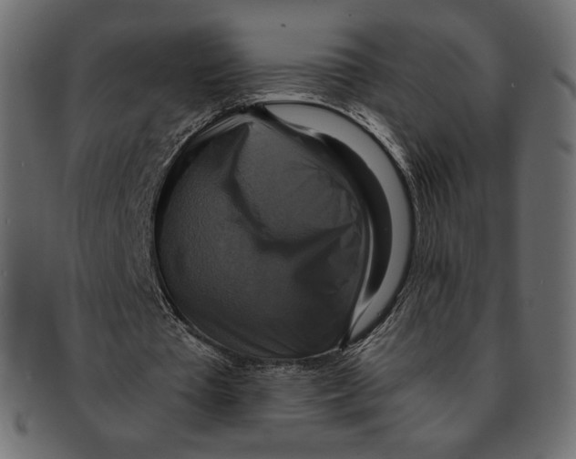 X0000091920385200710031043