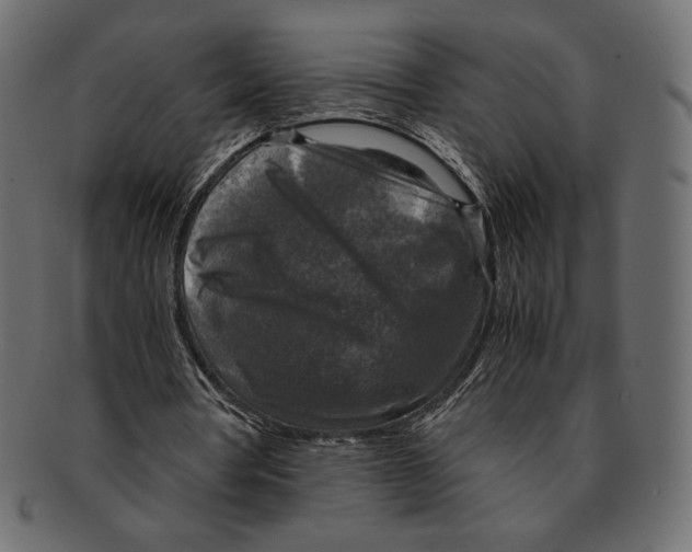 X0000091920386200710031043