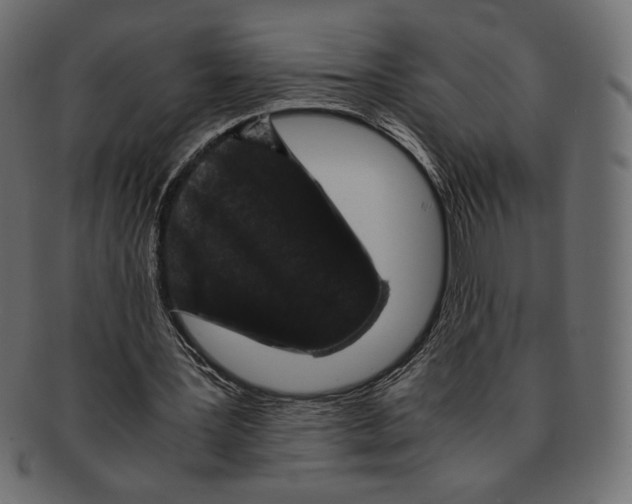 X0000091920387200710031043