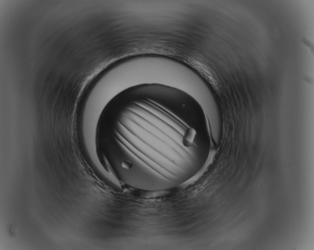 X0000091920388200710031043