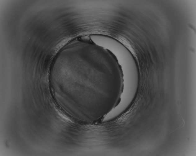 X0000091920389200710031043