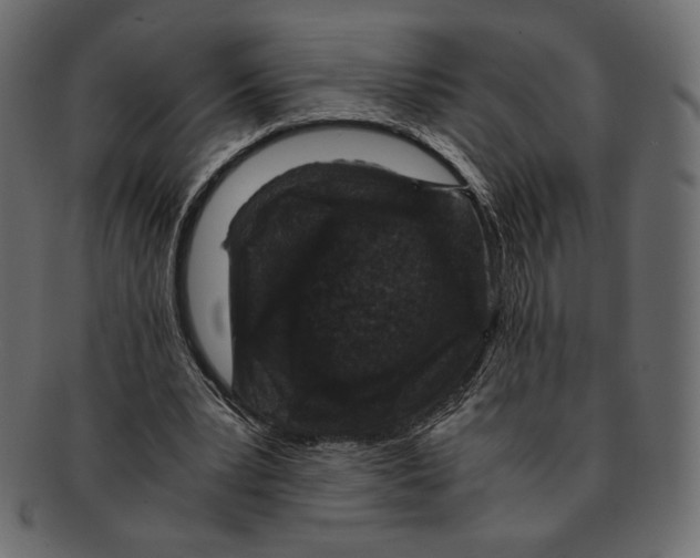 X0000091920391200710031043