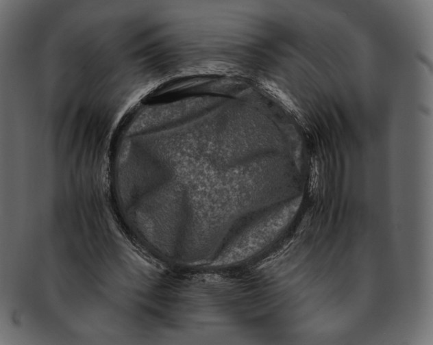 X0000091920392200710031043