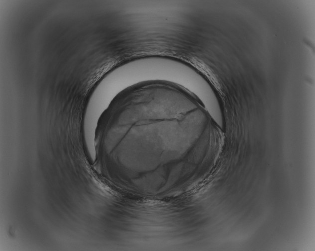 X0000091920393200710031043