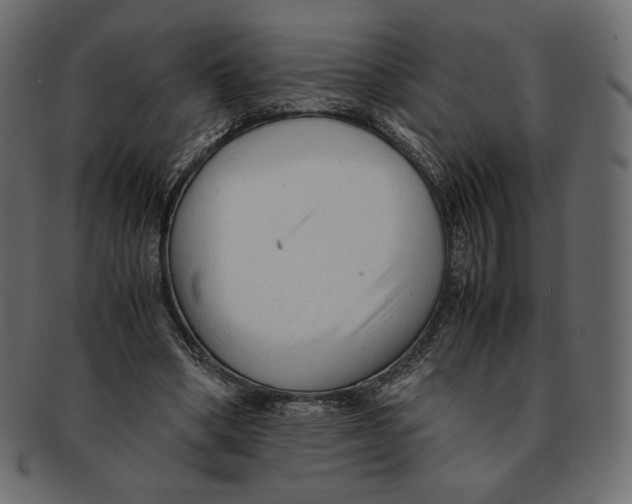 X0000091920394200710031043