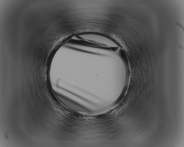 X0000091920395200710031043