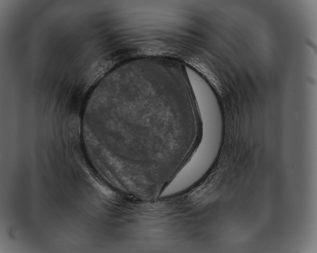X0000091920397200710031043