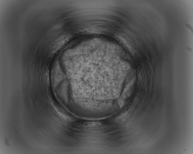 X0000091920398200710031043