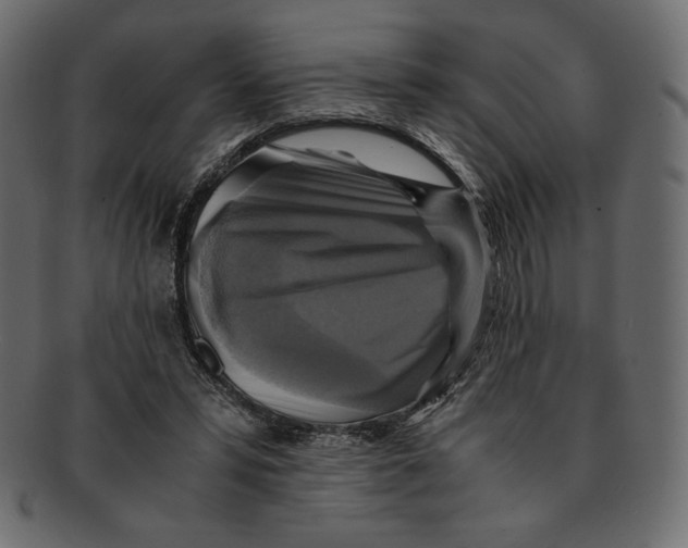 X0000091920399200710031043