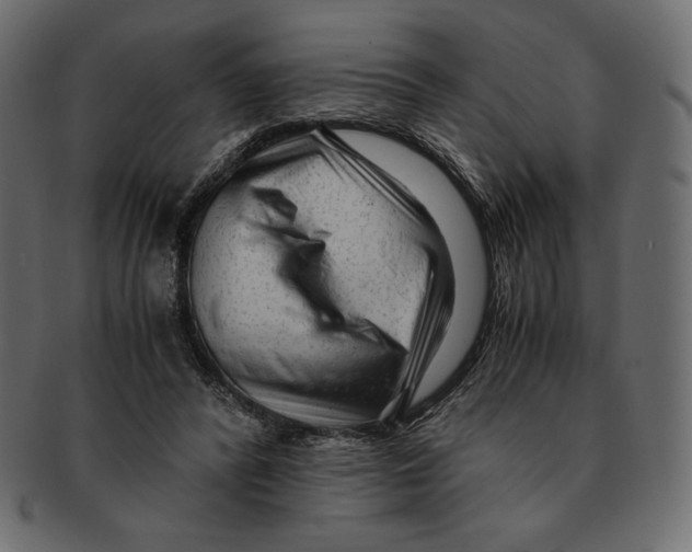X0000091920400200710031043