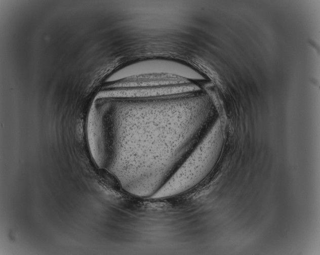 X0000091920401200710031043
