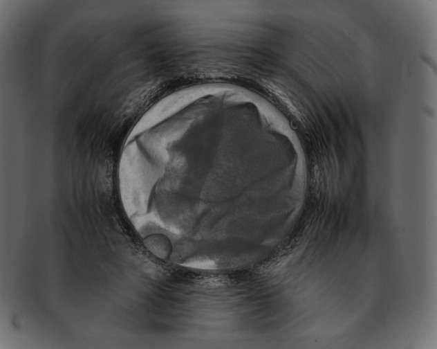 X0000091920402200710031043