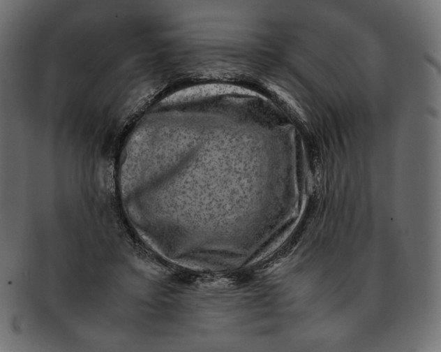 X0000091920403200710031043