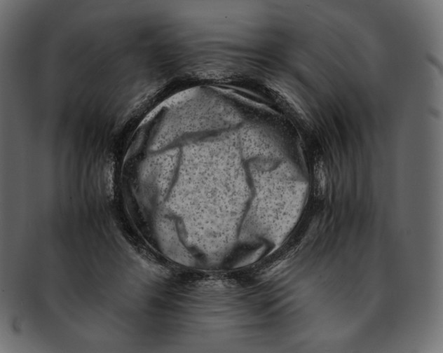 X0000091920404200710031043