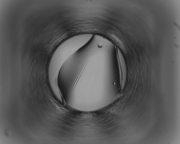 X0000091920405200710031043