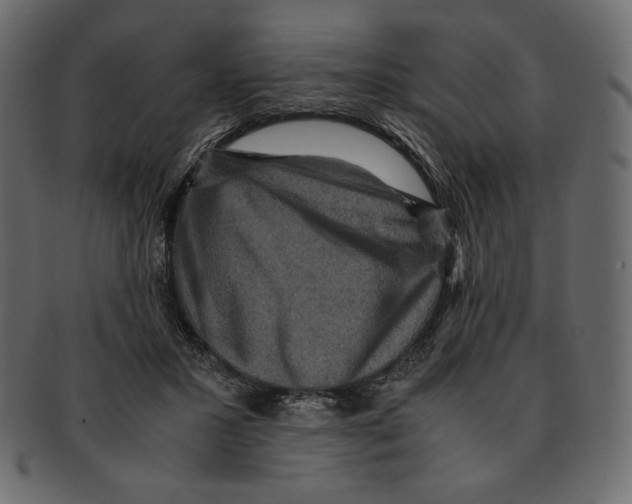X0000091920407200710031043