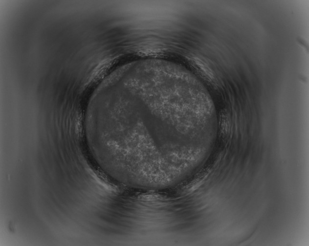 X0000091920408200710031043