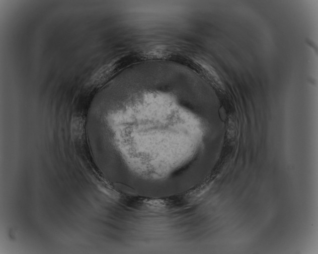 X0000091920409200710031043