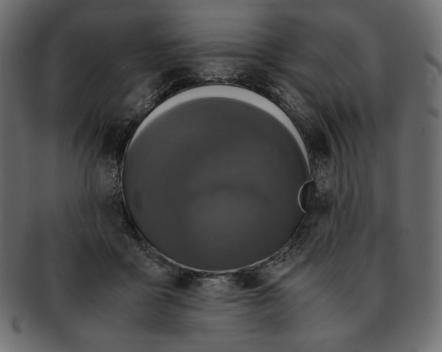X0000091920411200710031043