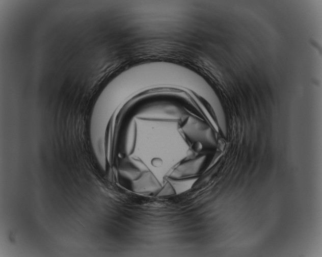 X0000091920412200710031043