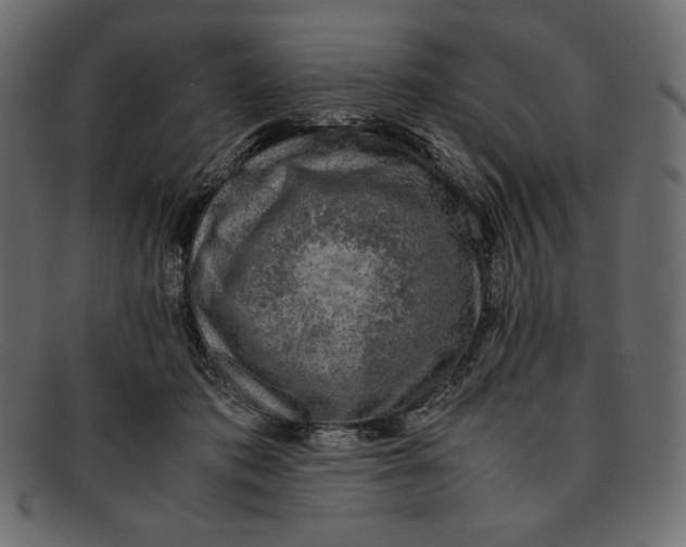 X0000091920413200710031043