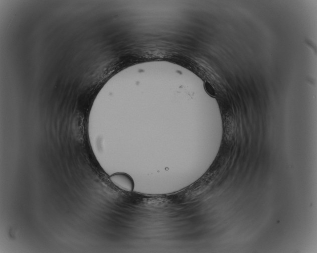 X0000091920414200710031043