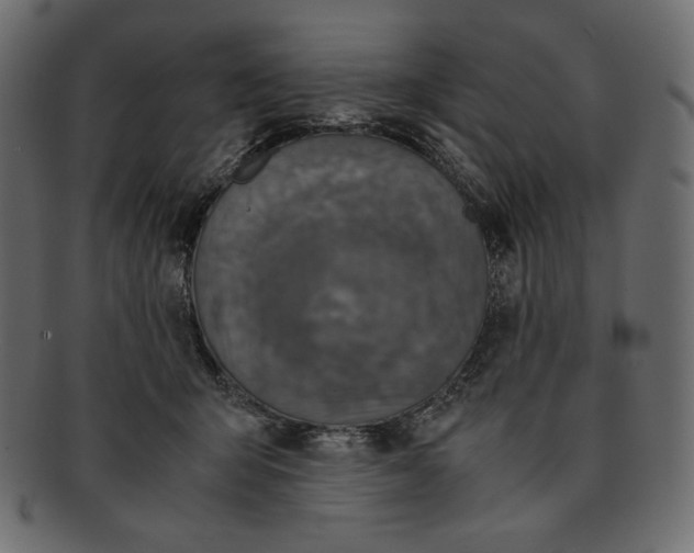 X0000091920415200710031043