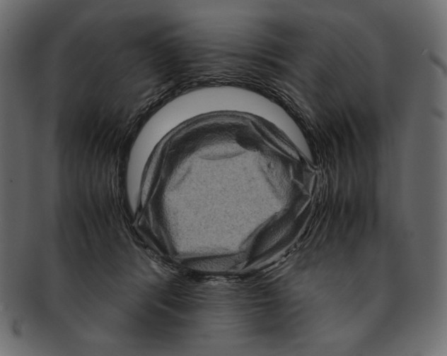 X0000091920416200710031043