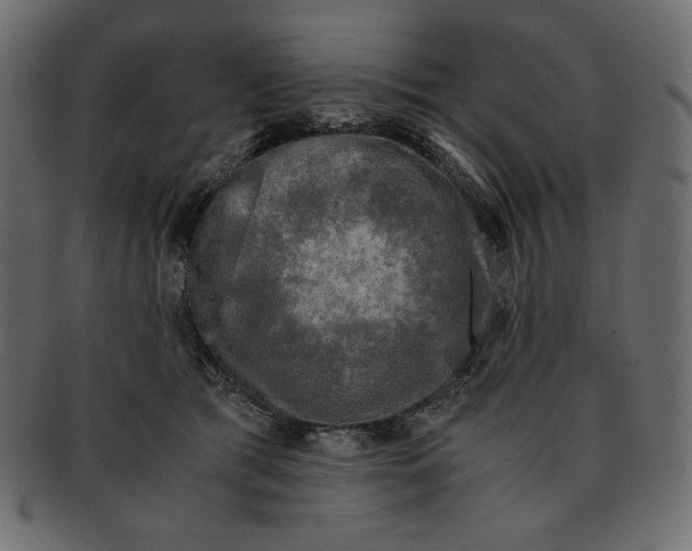 X0000091920417200710031043