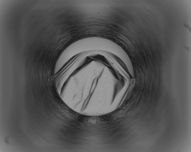 X0000091920420200710031043