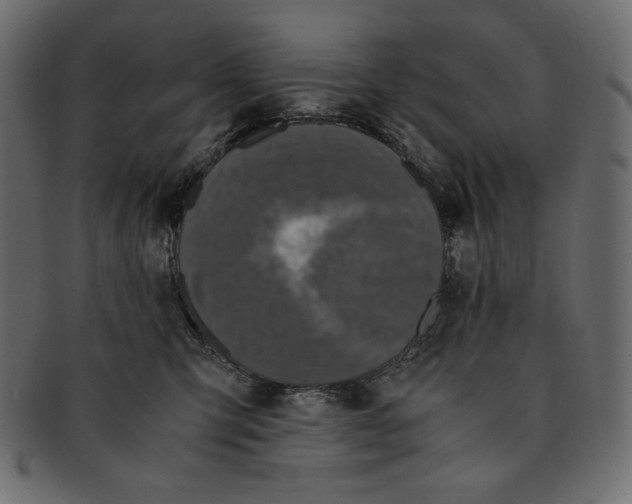 X0000091920423200710031043