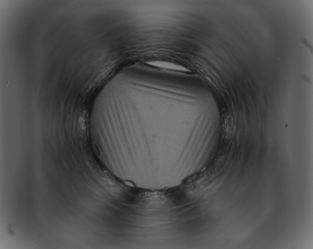 X0000091920424200710031043