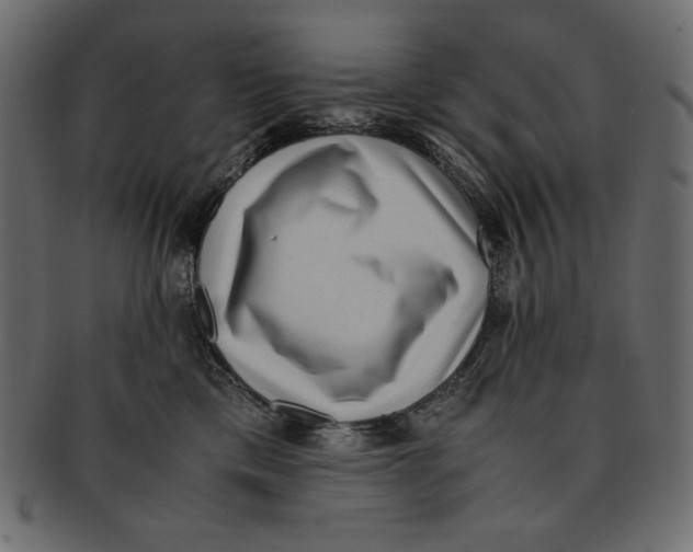 X0000091920425200710031043
