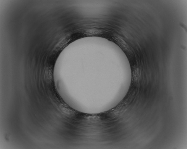 X0000091920426200710031043