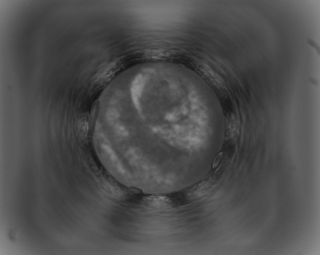 X0000091920427200710031043