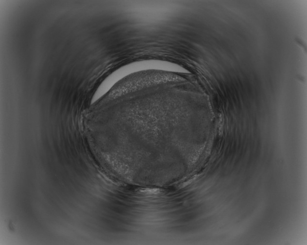 X0000091920428200710031043